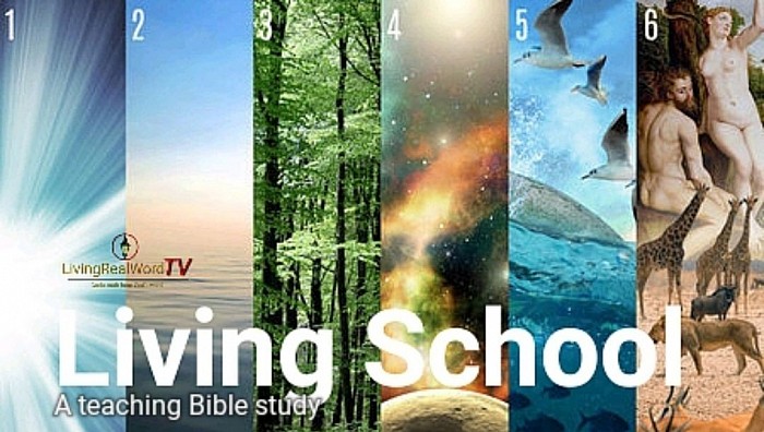 Living School Bible study family